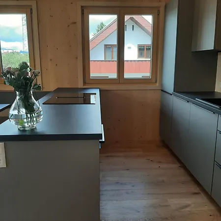 Riedwegtraum Apartment *